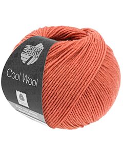 Cool Wool kl.2082