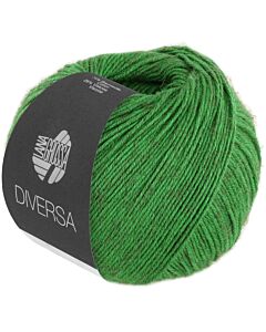 Lana Grossa Diversa kleur 14