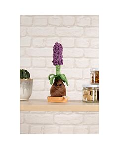 DMC haakpakket aardbeien plant haken