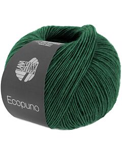 Lana Grossa Ecopuno kl.210
