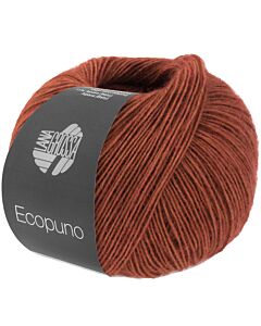Lana Grossa Ecopuno kl.211