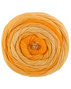 Lana Grossa Gomitolo Tono kleur 1040 (grijs)