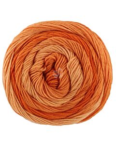 Lana Grossa Gomitolo Tono kleur 1040 (grijs)