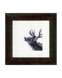 Borduurpakket  brullend hert om te borduren van vervaco.pn-0149793