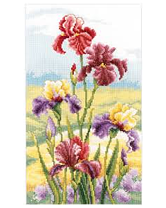 Borduurpakket irissen in ochtendlicht