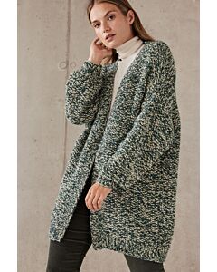 Lana Grossa dames vest breien van Brigitte No.2 (F70,M8)