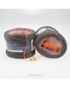 Lana Grossa Shades of Merino Cotton kl.413