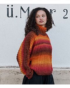 Lana Grossa trui breien van Gomitolo Versione (G16, m29)