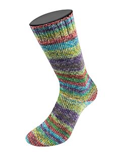 Lana Grossa Landlust Die Sockenwolle kl.216 4-draads (regenboog)