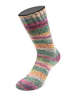 Lana Grossa Landlust Die Sockenwolle kl.718 (wit/grijs/groen/blauw/paars)