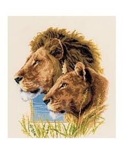 Borduurpakket vervaco  leeuwenkoppel
