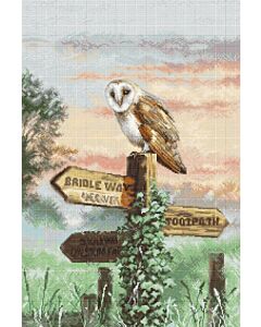 Borduurpakket Letistitch  kerkuil L8031 met telpatroon
