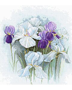 Luca-s borduurpakket irissen om te borduren b2367