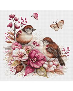 Luca-s borduurpakket spring birds B2420 telpatroon