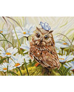 Luca-s borduurpakket Lucky uil om te borduren b7011