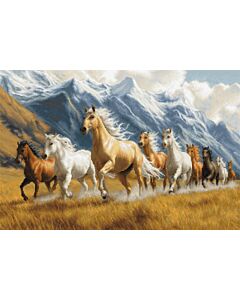 Luca-s borduurpakket 'free spirit' B704 telpatroon