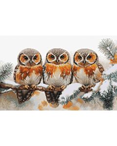 Luca-s borduurpakket 'winter owls' BU5077 telpatroon