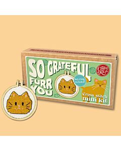 Crafty Mini Kit borduurpakket matchbox oranje kat MB-200 incl. kleine borduurring & sleutelhangertje