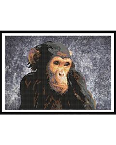 Borduurpakket Aap met telpatroon van Marie Coeur om te borduren