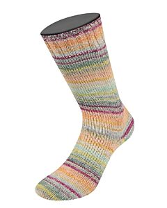 Lana Grossa Meilenweit 100 Cotone Vegano Mango kleur 4454 (blauw/paars/rood/oranje/geel/donkergroen)