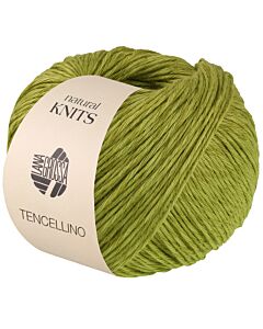 Lana Grossa Tencellino kl.5 groen