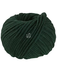 Lana Grossa Winter Softness kleur kleur 5 (donkergroen)