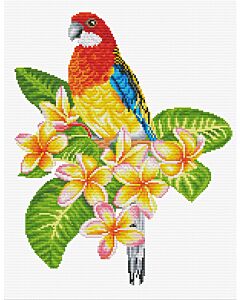 Voorbedrukt borduurpakket Frangipanni Rosella papegaai op aida Needleart World 440.101