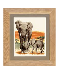 Borduurpakket Olifanten op tocht