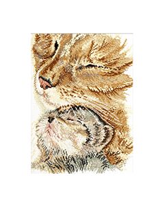  Borduurpakket kat met jong van pako