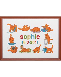 Pako geboortetegel Dikkie Dik ondeugende rode kater 272.020 borduren 