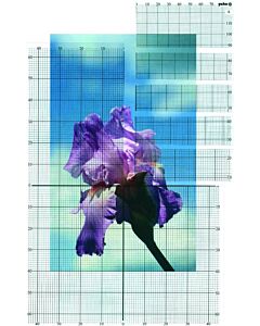 Pako rasters voor eigen borduurpatronen te ontwerpen