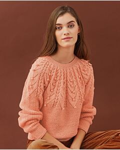 Phildar dames trui breien met fantasiesteek van Merinos 3,5