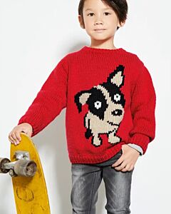 Phildar kinder trui breien van Partner 6 (696, m9) 