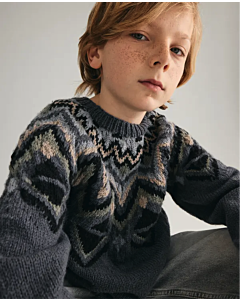 Phildar kinder trui met jacqaurd breien van Partner 3,5 (246, m13a)