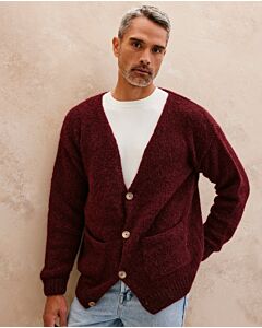 Phildar makkelijk heren vest breien van Phil Givre en Phil Caresse (264,M2)