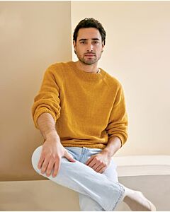 Phildar mannen trui rondbreien van Phil Cabotine 3 (258,m11)