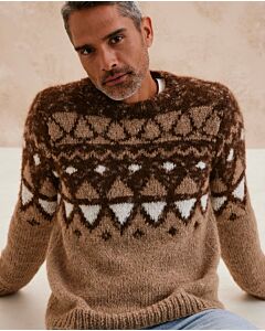 Phildar Noorse heren trui breien van Phil Givre en Phil Leo Concept (264, M7)