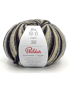 Phildar Phil Star Concept kleur noir 