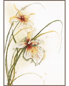 Lanarte borduurpakket Orchidee op linnen PN-0008014