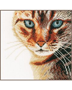 Kat/poes van dichtbij borduurpakket van lanarte