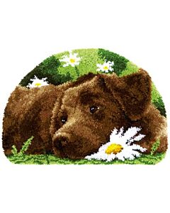 knooppakket knoopkleed bruine labrador van Vervaco om te knopen pn-0153852