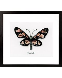 Oranje vlinder pn-0165401