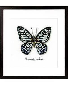 Borduurpakket Blauwe vlinder aida om te borduren pn-0165403