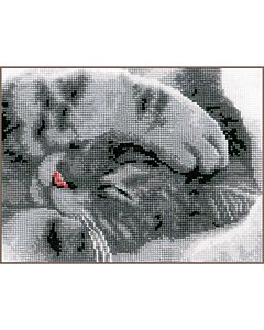 Borduurpakket Schattige kitten van Vervaco  