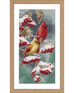 Borduurpakket kardinaalvogels van Vervaco PN-0165887