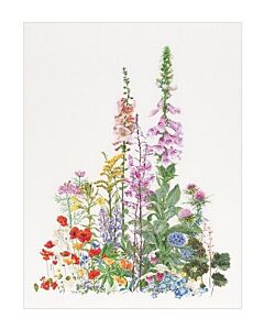 Borduurpakket American wild flowers van Thea gouverneur