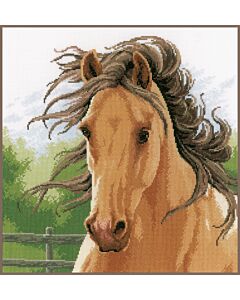 Lanarte borduurpakket merrie borduren pn-0170753