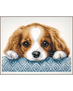Vervaco borduurpakket puppy PN-0203575 telpatroon