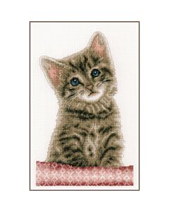 Vervaco borduurpakket kitten PN-0203580 telpatroon