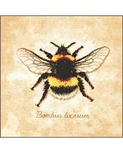 Lanarte borduurpakket bombus lucorum bij PN-0222208 evenweave telpatroon